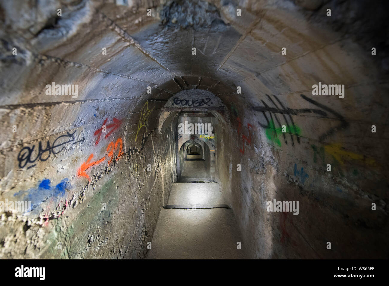 Arête de poisson hires stock photography and images Alamy