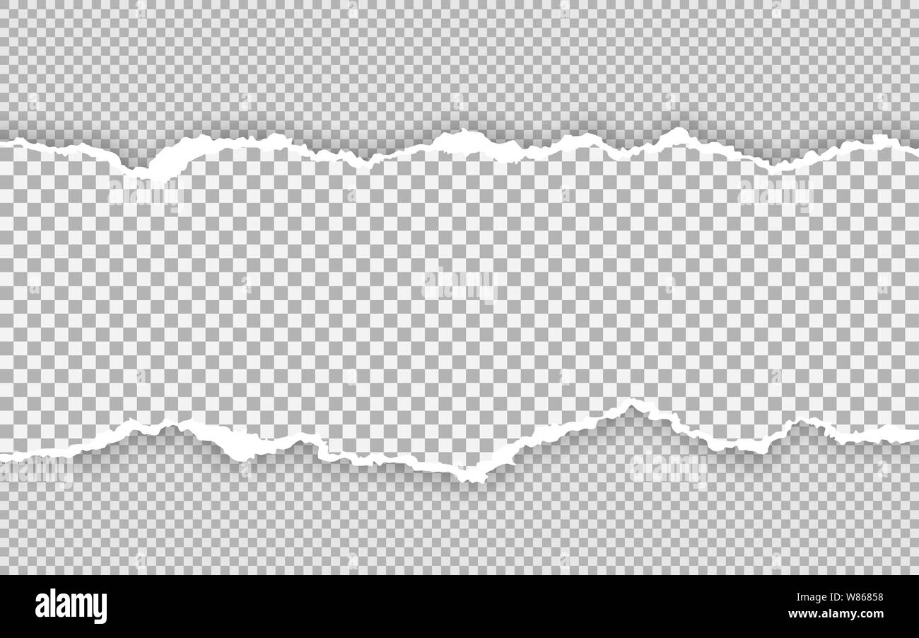 Horizontal torn paper edge. Ripped squared horizontal paper strips ...