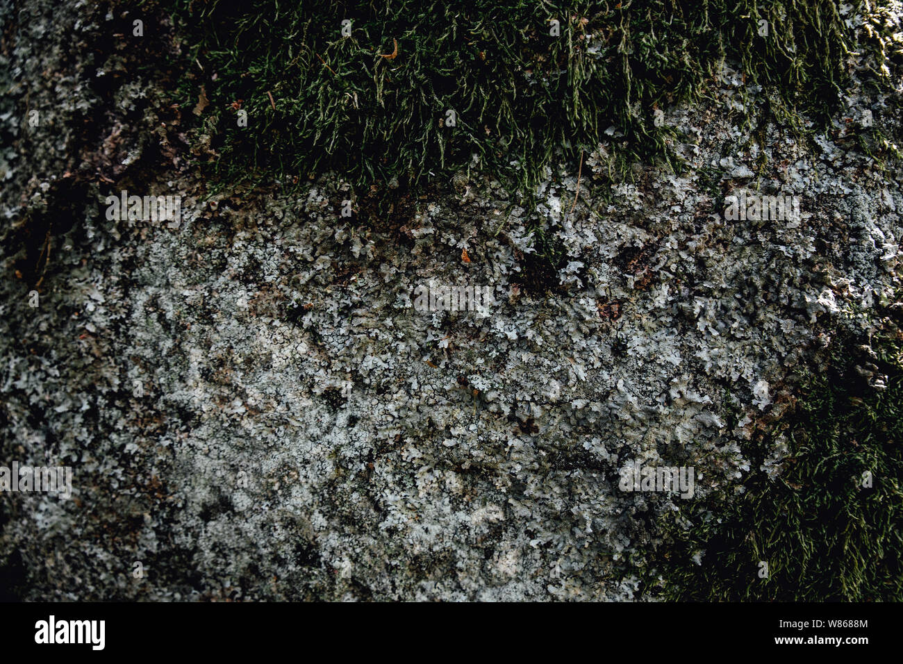 Old Gray Stone Wall With Green Moss Texture Background With Light And Shadow Drawing On It Stock Photo Alamy Old Gray Stone Wall With Green Moss Texture Background With Light And Shadow Drawing On It Stock Photo Alamy