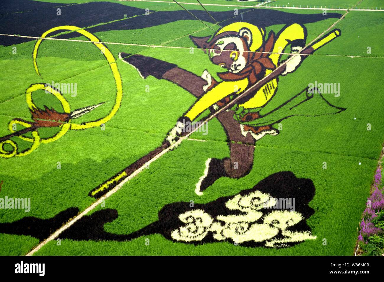 A Rice Paddy Painting Of Sun Wukong Also Known As The Monkey King Is Displayed At A Paddy Field In Shenyang City Northeast China S Liaoning Provinc Stock Photo Alamy