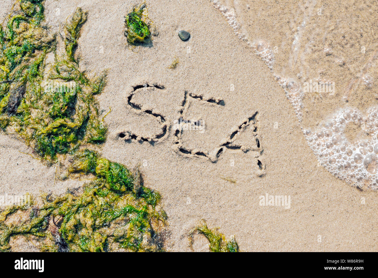 Word Sea handwritten on a sandy beach with white wave and green sea weeds in sunny day in summer Stock Photo