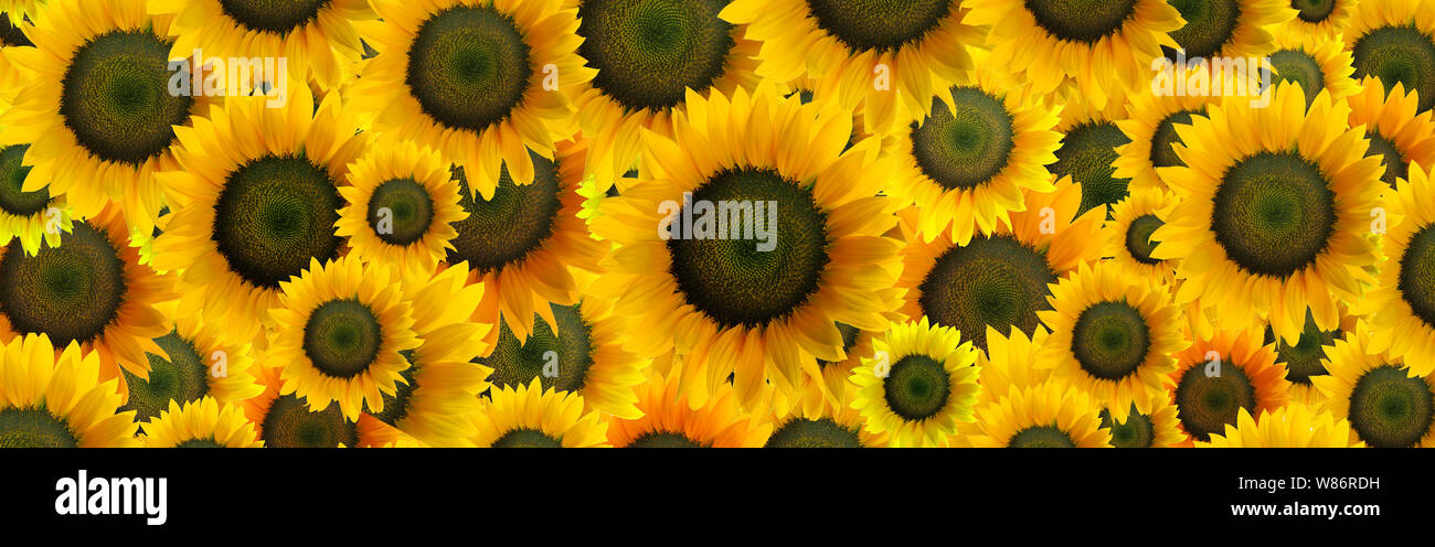 Panoramic high resolution hi-res stock photography and images - Alamy