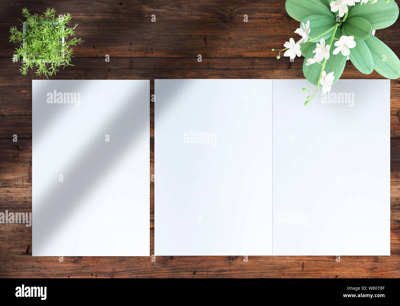 top view of an open and closed bifold brochure with plants on a wood table. 3d rendering mockup Stock Photo