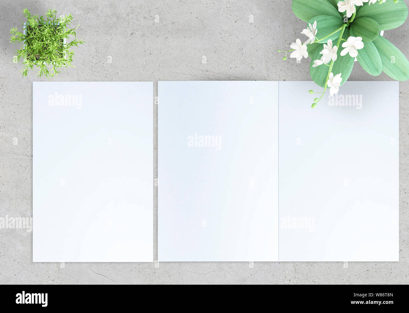 top view of Top view of a concrete surface with a open and closed bifold brochure and plants. 3d rendering mockup Stock Photo
