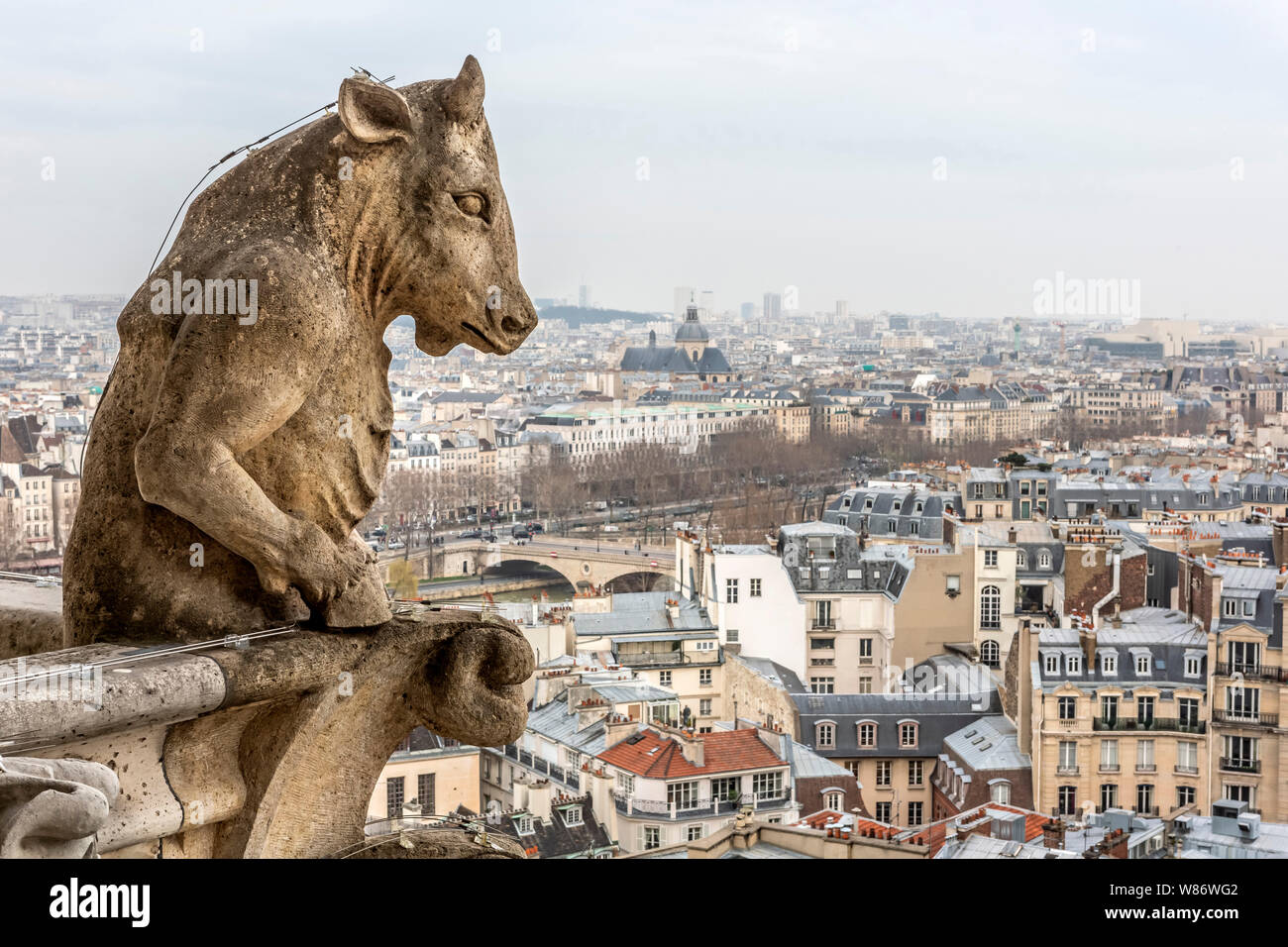 Paris (France): chimera of Notre-Dame Cathedral (not available for postcard production) Stock Photo