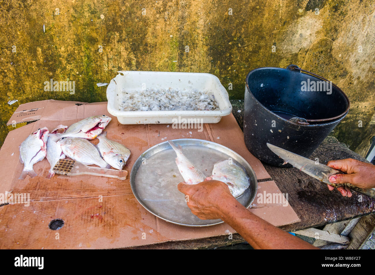 Fisherman cleaning fish at the Fish Market of Itapissuma - Pernambuco, Brazil Stock Photo