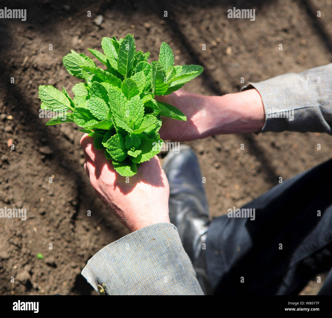Farming actions hires stock photography and images Alamy