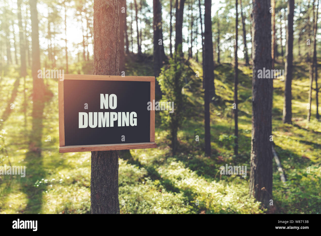 no dumping sign hanging on tree in forest Stock Photo