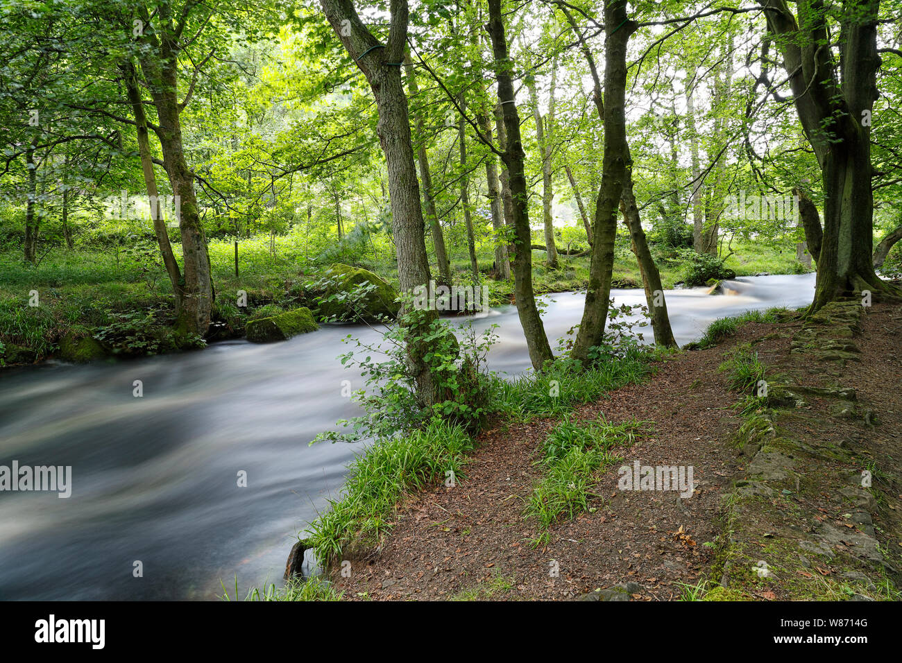 The River Washburn in Nidderdale showing fast flowing water due to water release from Thruscross reservoir by Yorkshire Water Company for canoeing Stock Photo
