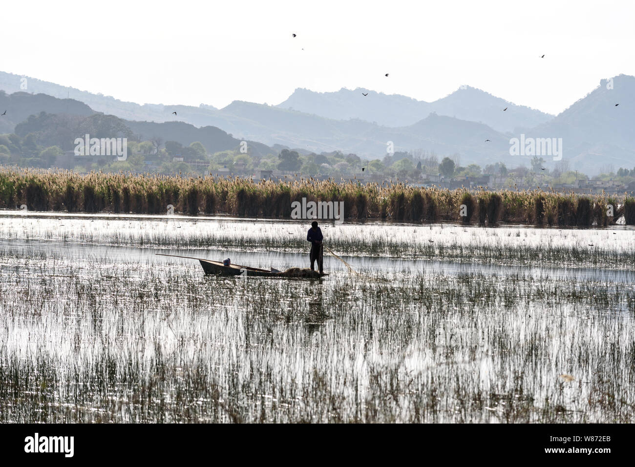 Fisherman casting net at kallar Kahar lake in Punjab Pakistan. Stock Photo