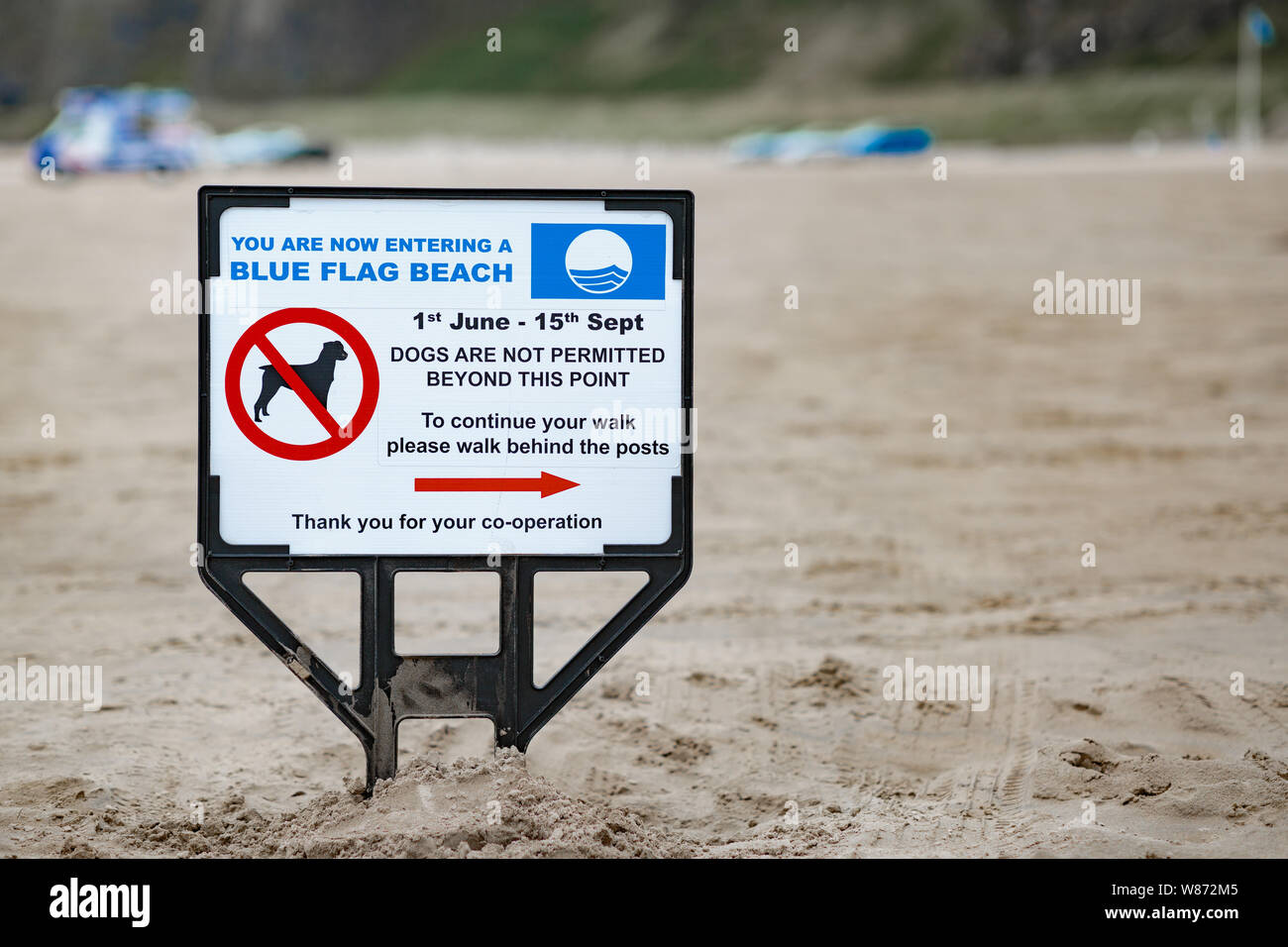 Are Dogs Allowed On Beaches In Ireland