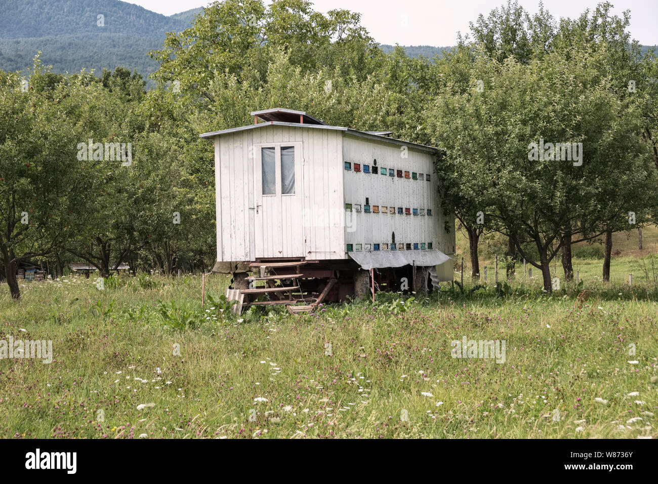 Maramureş, northern Romania. Beehives fitted into a mobile trailer, so that they can easily be moved to fresh wildflower meadows Stock Photo