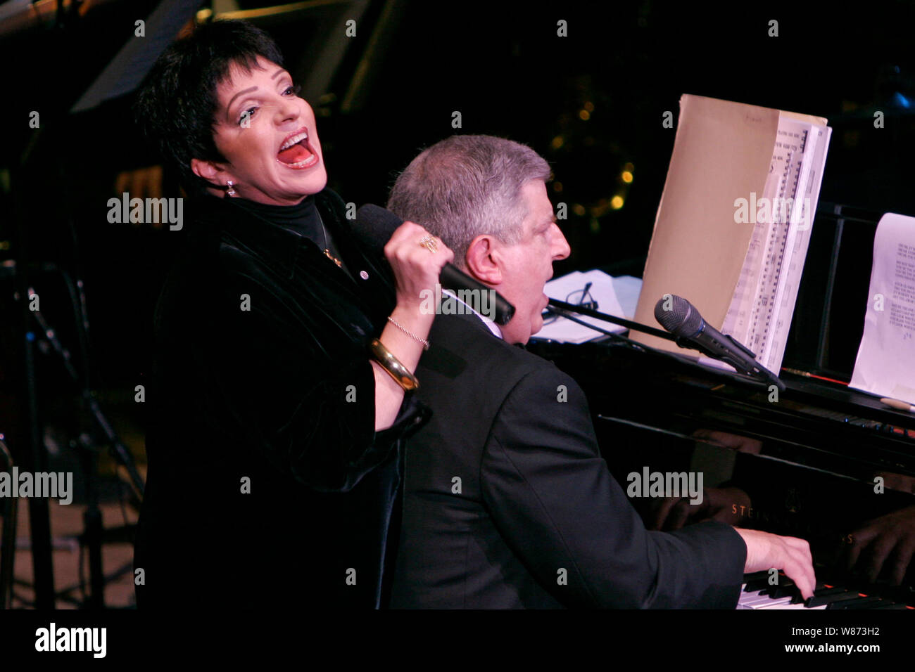 Liza Minelli sings accompanied by Marvin Hamlisch at a benefit concert at Carnegie Hall in New York City. Stock Photo