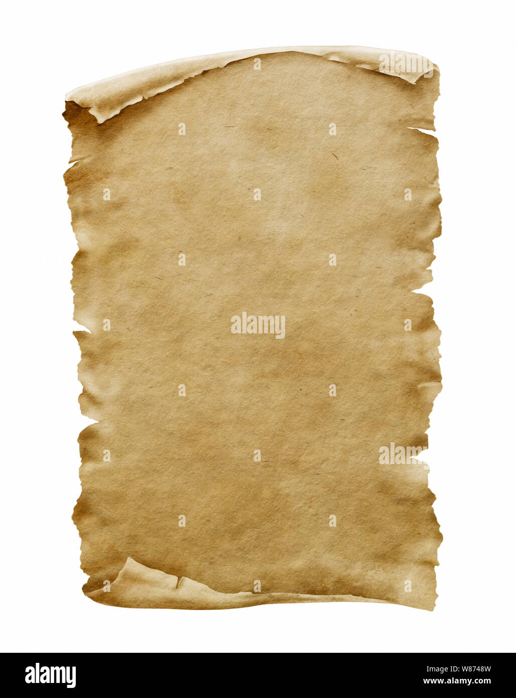 Old paper manuscript or papyrus scroll vertically oriented Stock Photo