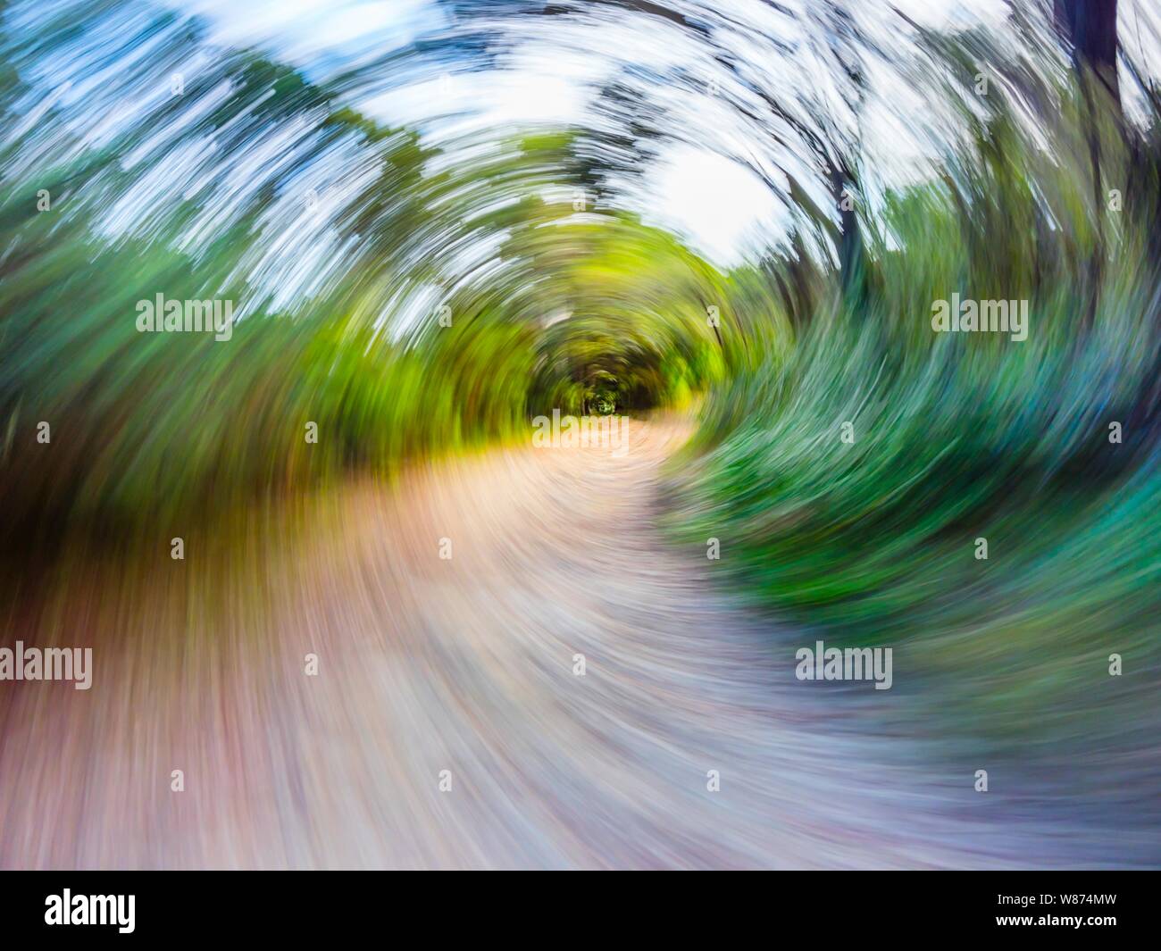 Green forest countryside path pathway speeding throught dense trees dizzy circular twirl motion Stock Photo