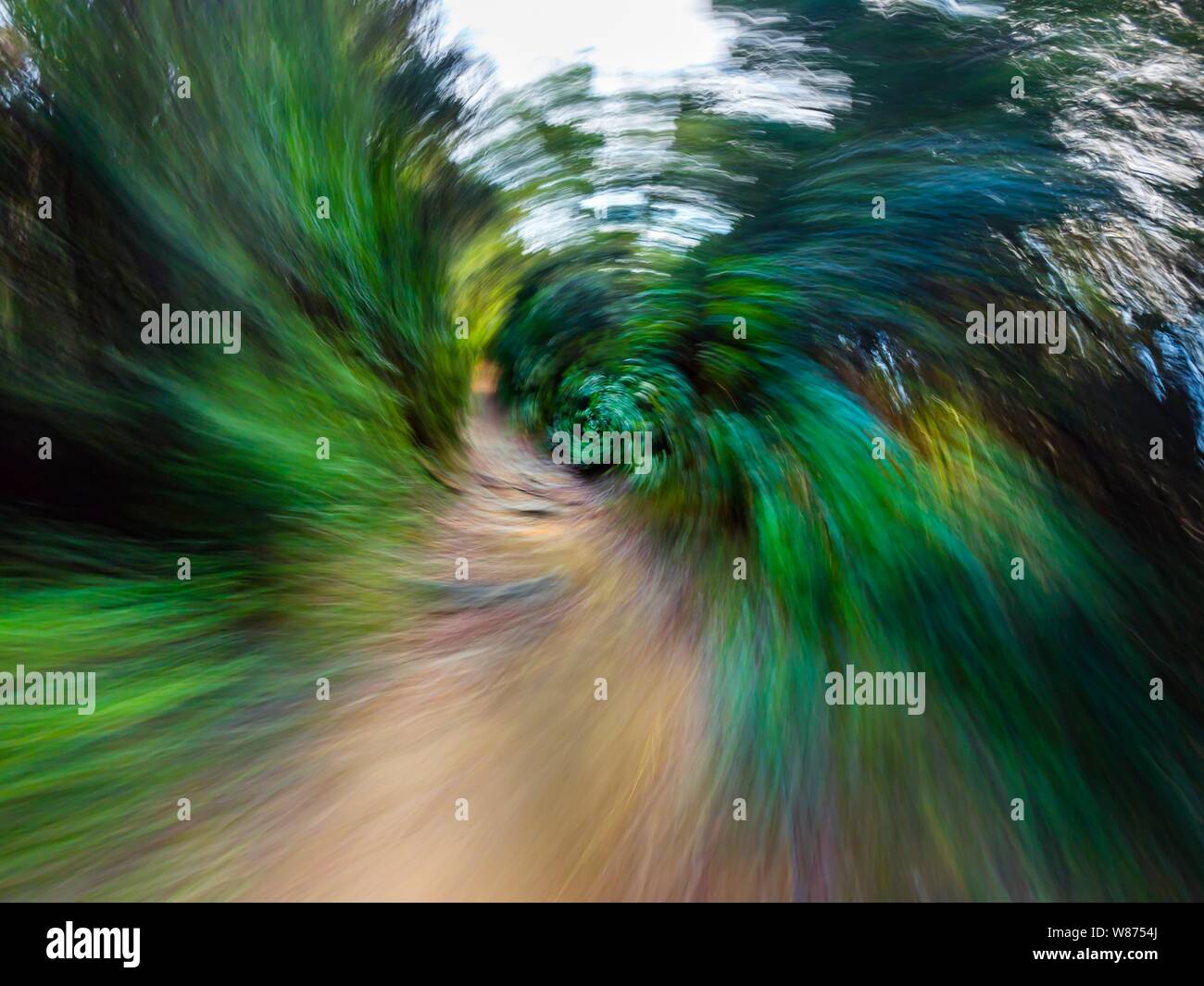 Green forest countryside path pathway speeding throught dense trees circular twirl motion dangerous risky offroad off-road Stock Photo