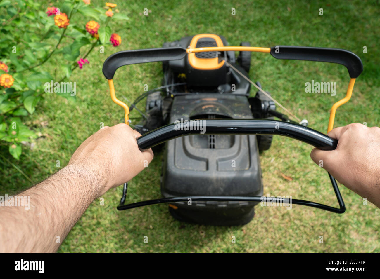 Man hands holding a lawn mower machine to cutting green grass. Gardening concept Stock Photo