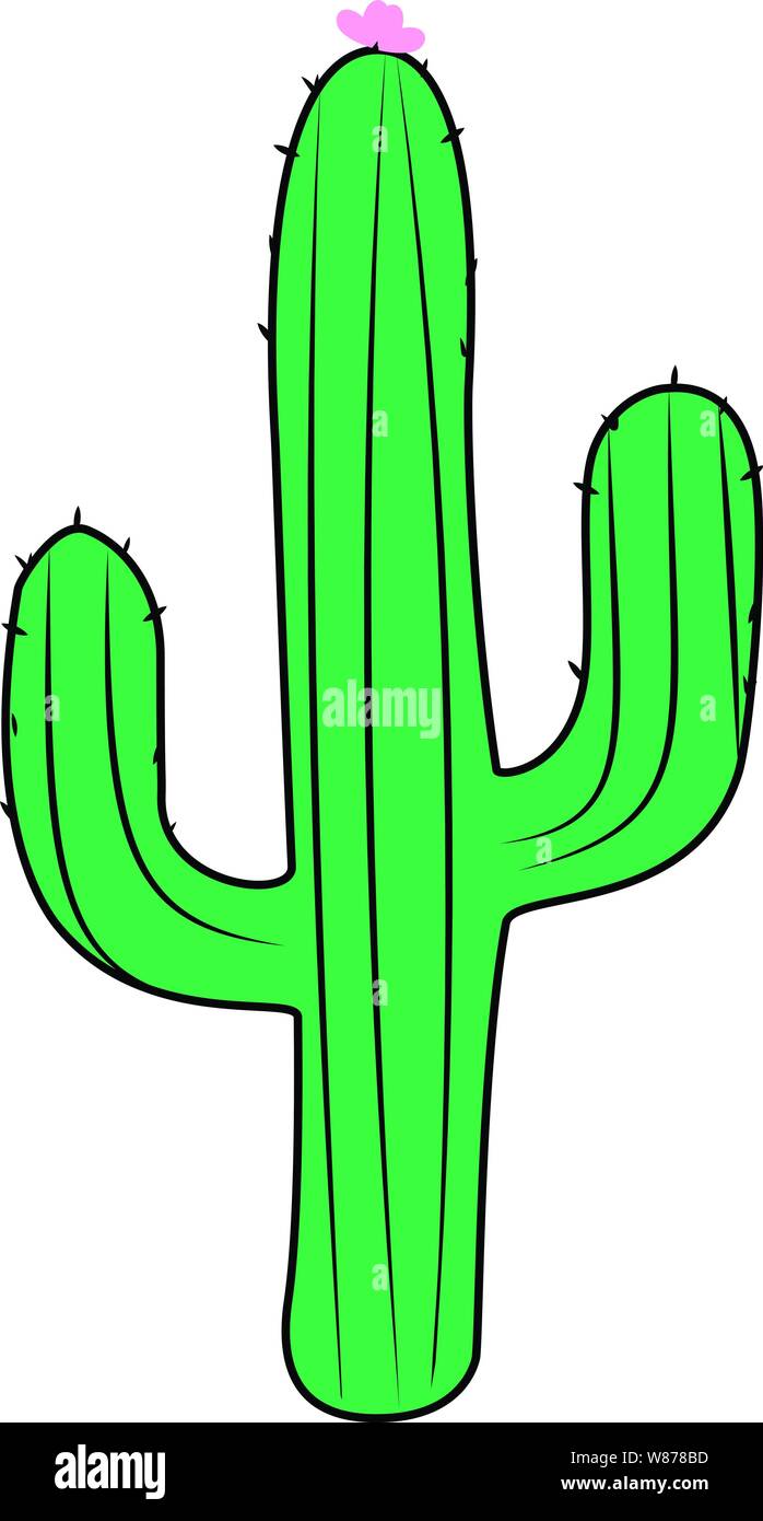 Cactus isolated on white background Stock Vector Image & Art - Alamy