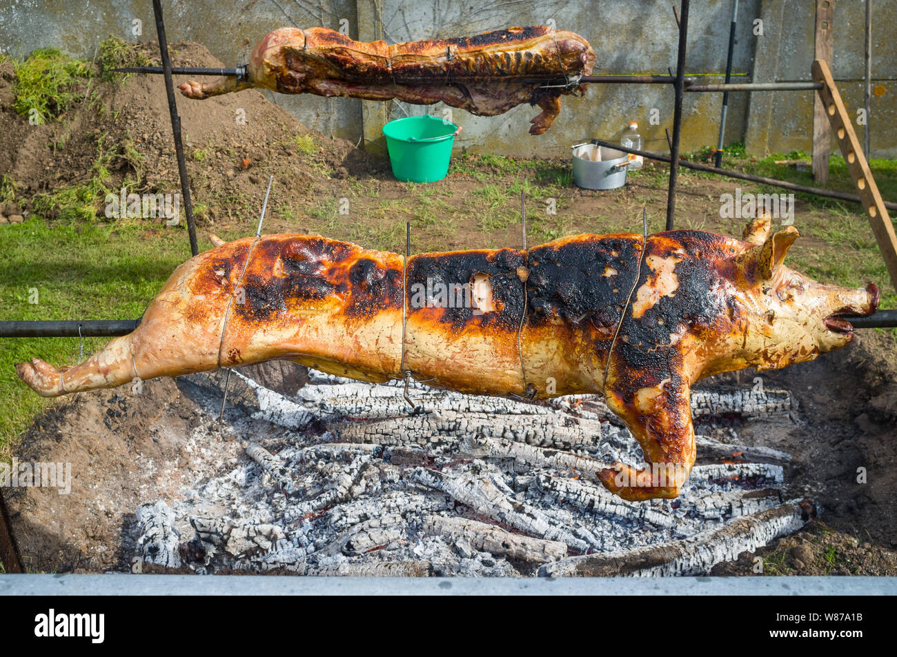 A roasted pig on a spit over wood embers at a traditional fair or Foire a Tout in Normandy, France Stock Photo