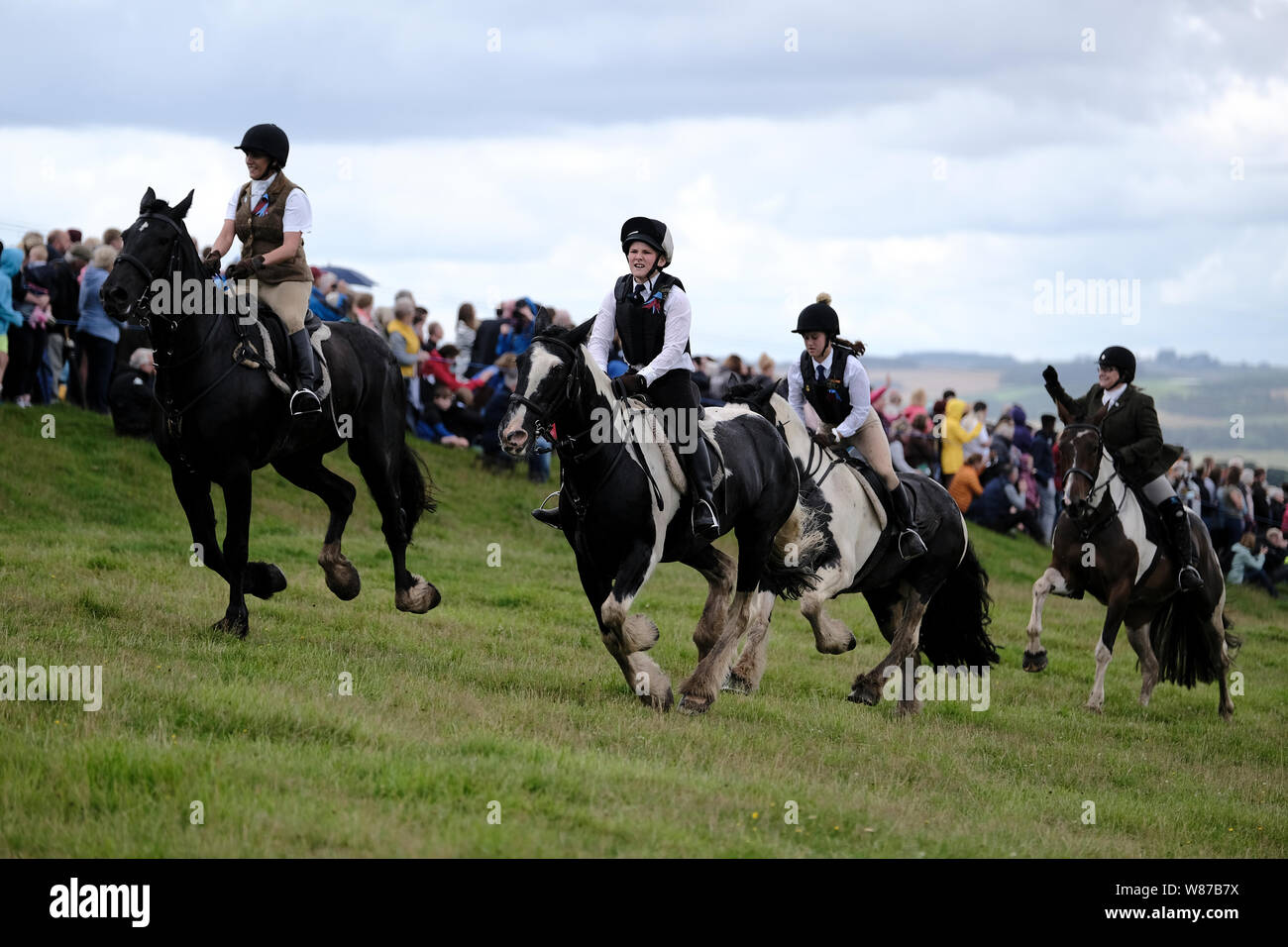 250 horses hi-res stock photography and images - Alamy