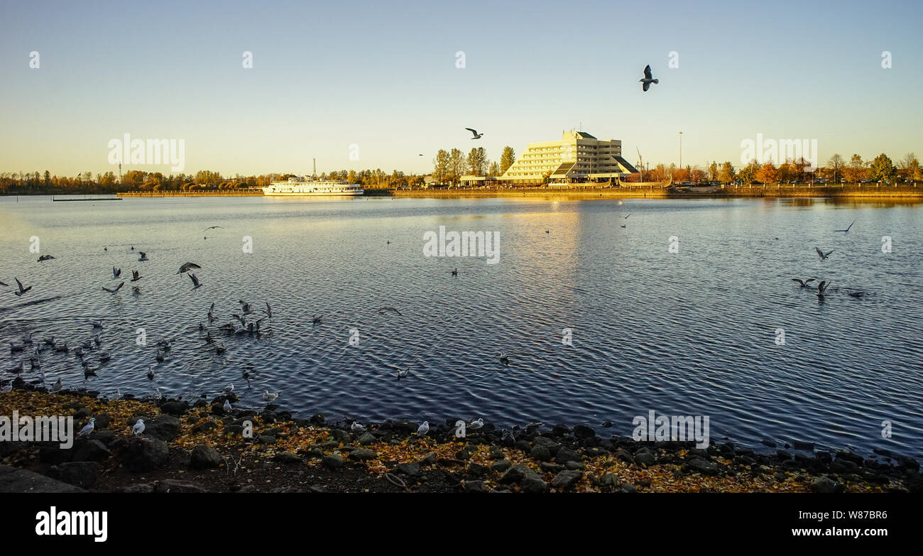 Lake scenery with many birds at sunset in Vyborg, Russia. Vyborg is 174km northwest of St Petersburg and just 30km from the Finnish border. Stock Photo