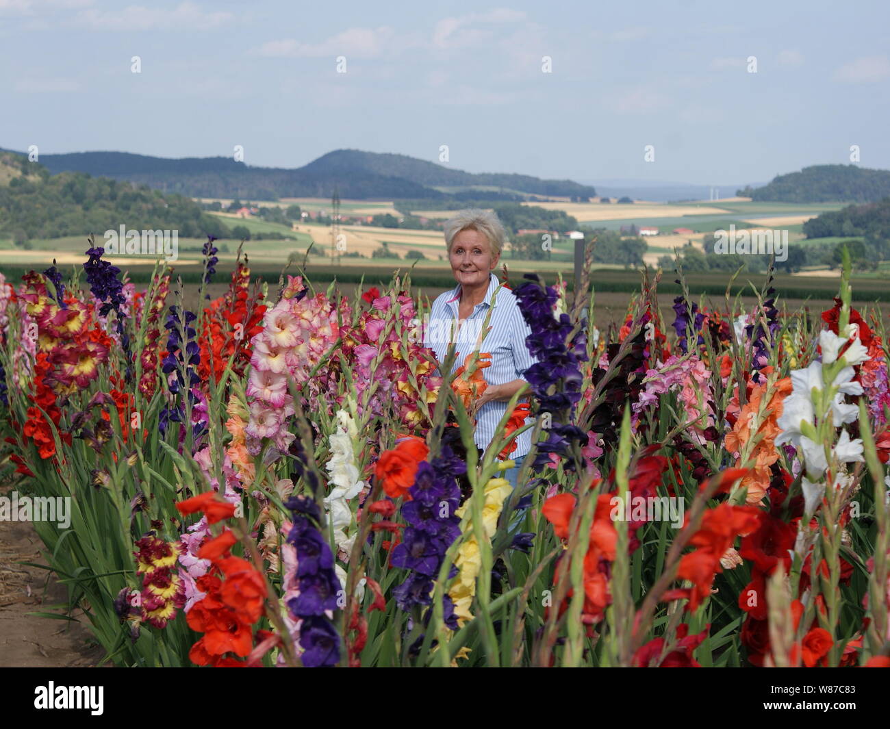 This blonde young woman admires the colorful splendor of the colorful gladioli Stock Photo
