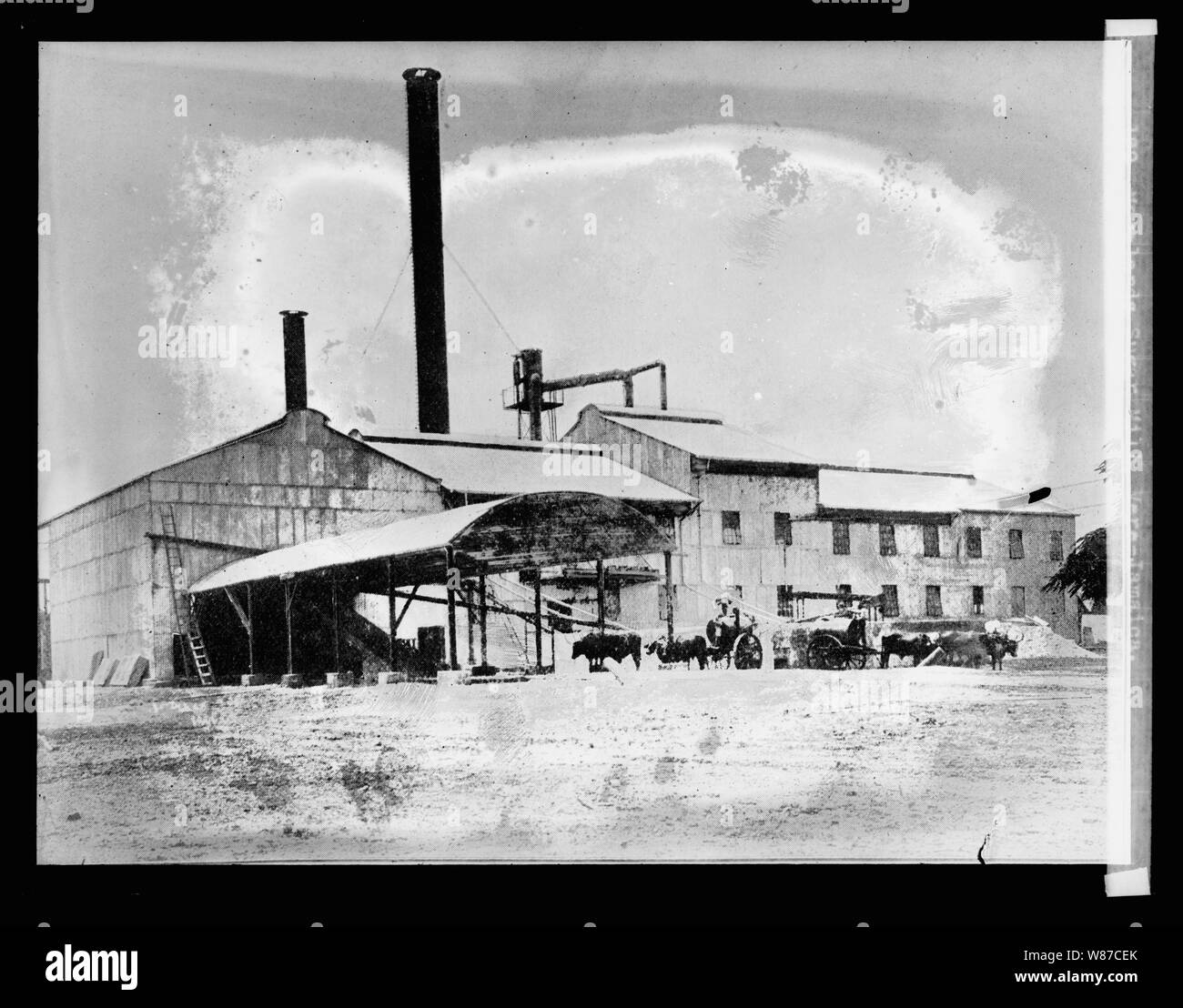 129 Morelands sugar mill, Vere, Jamaica Stock Photo