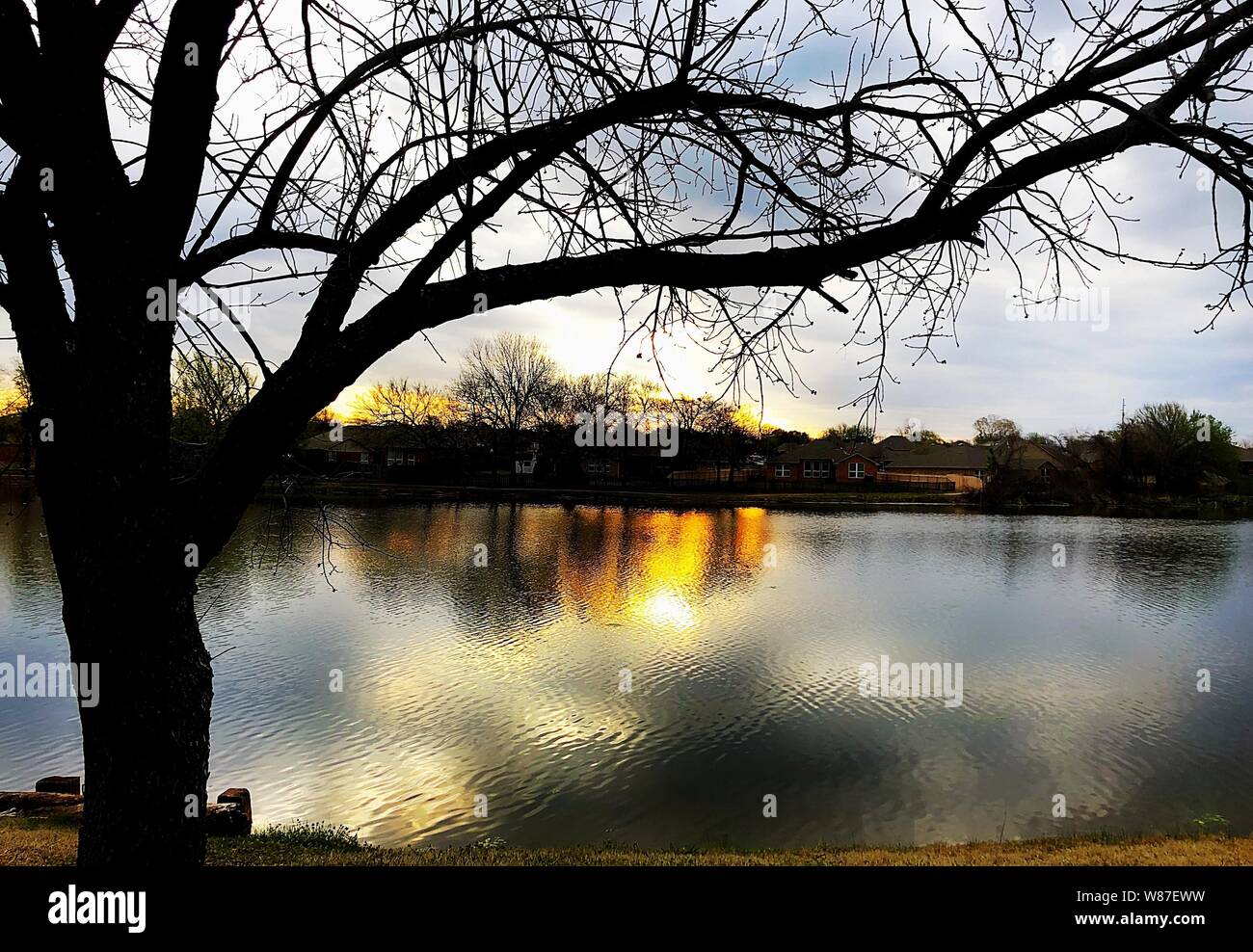 Silhouette of a tree with the sunset casting reflections in the lake ...