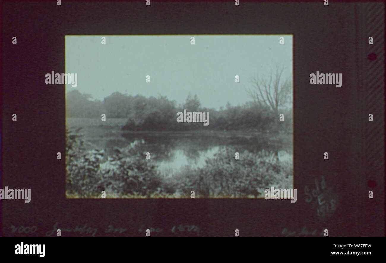 19171918, reference prints from negatives Stock Photo Alamy