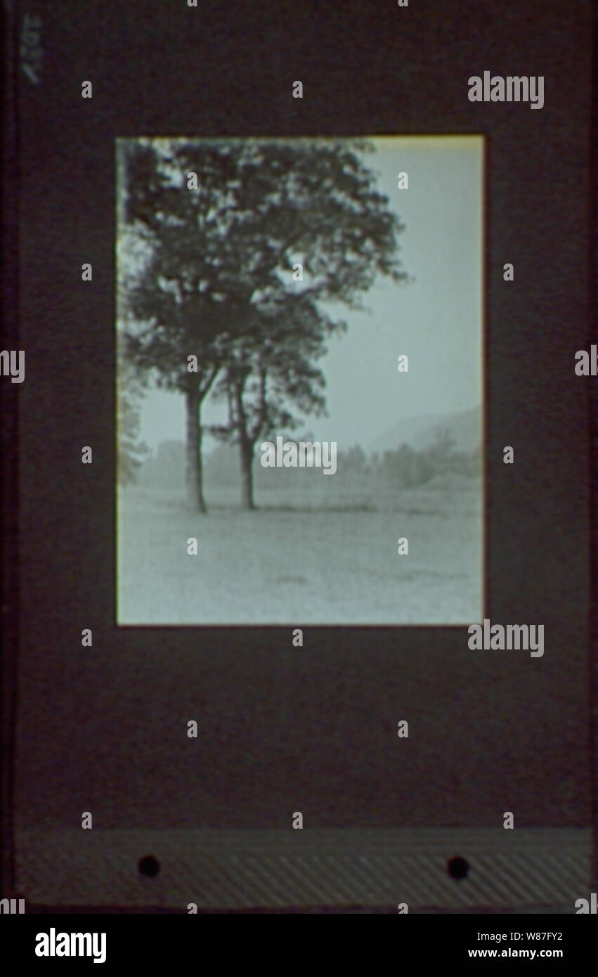 19171918, reference prints from negatives Stock Photo Alamy