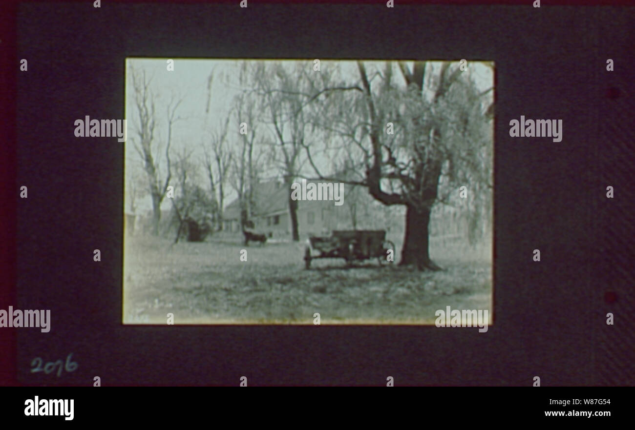 19171918, reference prints from negatives Stock Photo Alamy