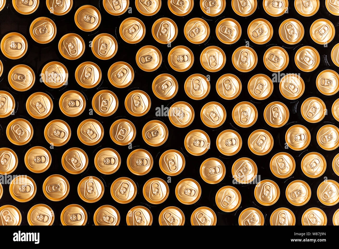 Rows of beer cans in a brewery canning plant, pictured from directly