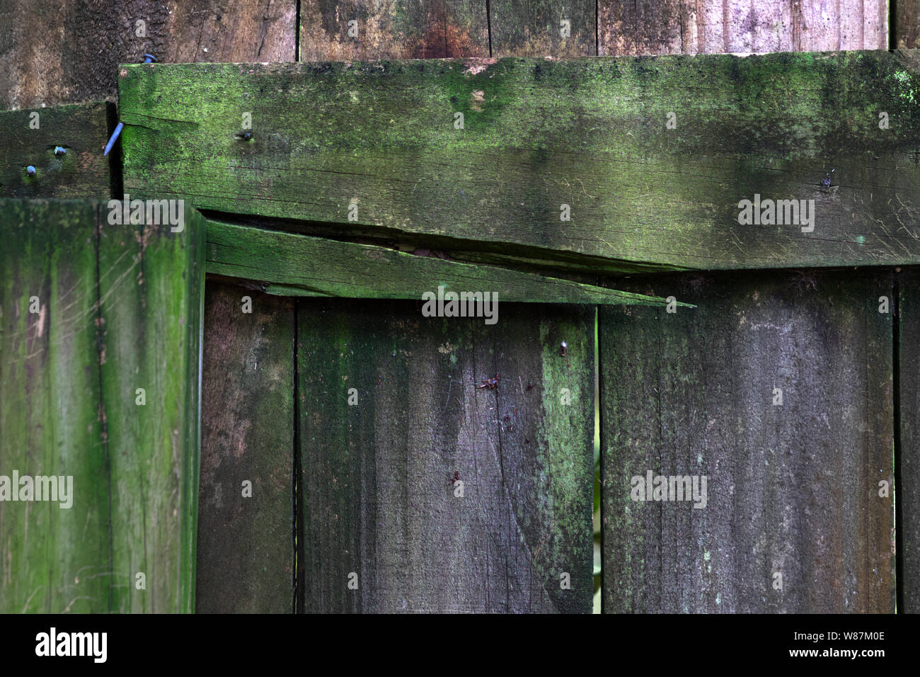 Decaying wooden fence in deep south Alabama, USA. Stock Photo