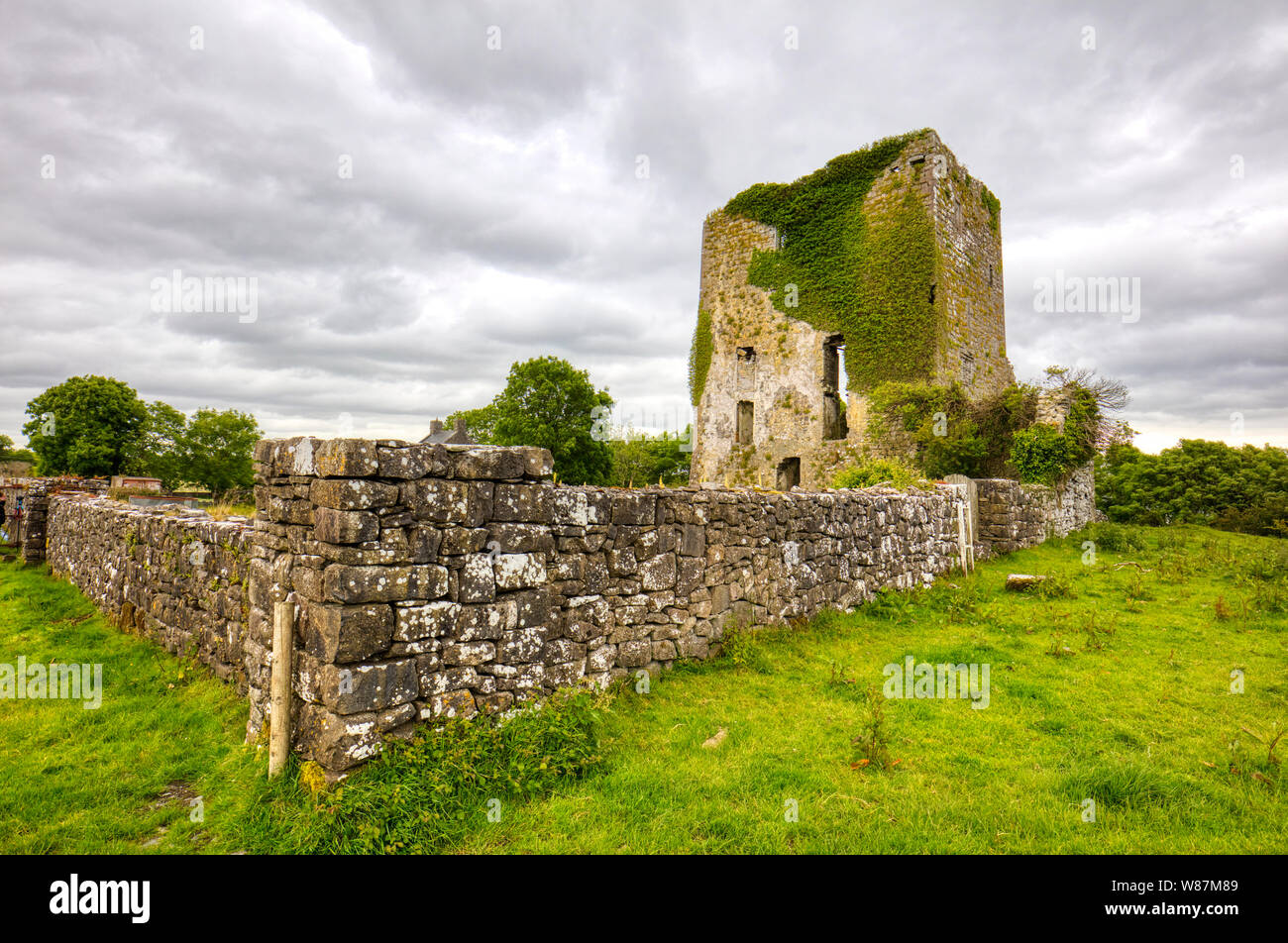 Ruins of Castle Burke, northern shore of Lough Carra in County Mayo Ireland Stock Photo