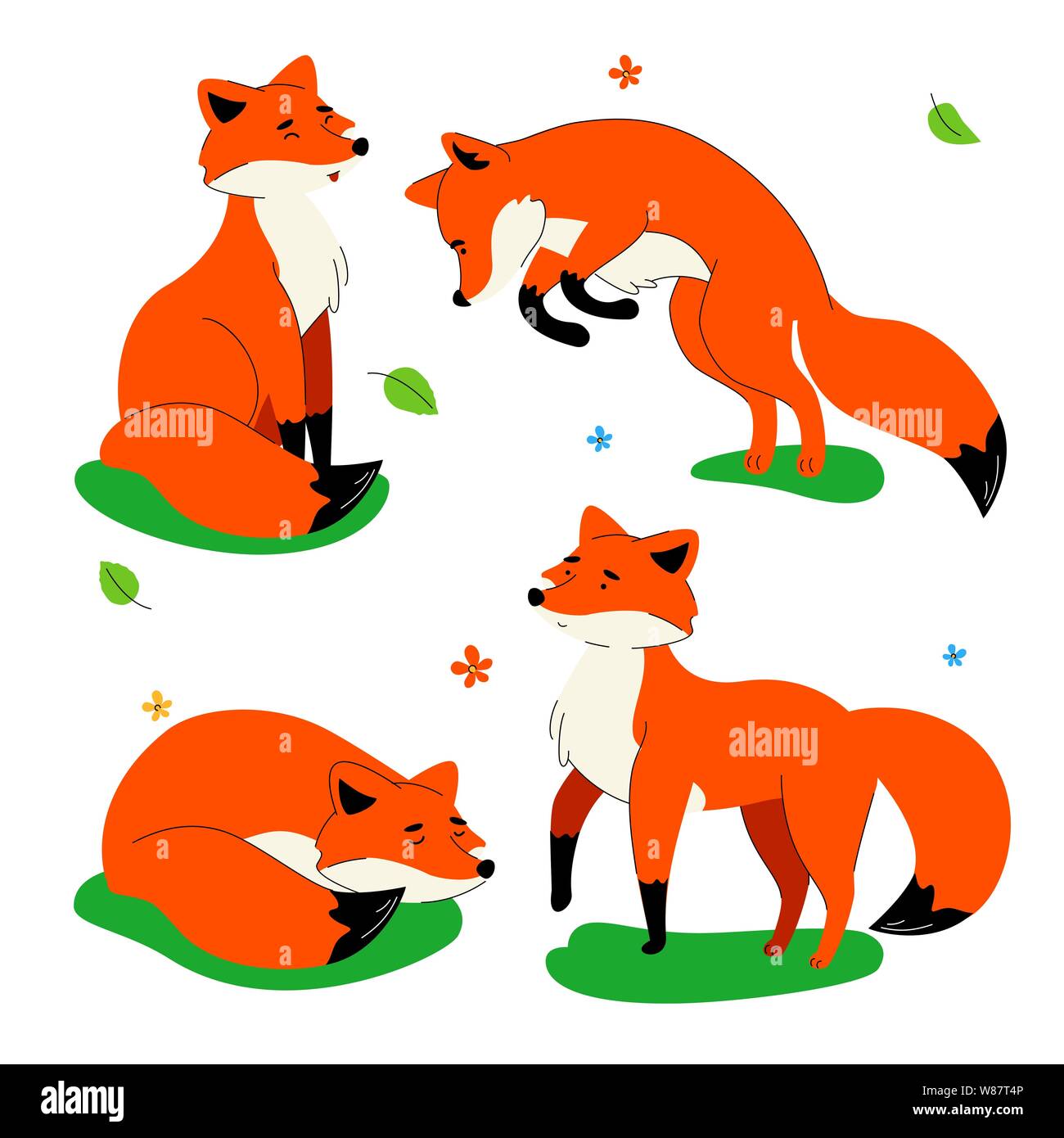 Red Fox Set