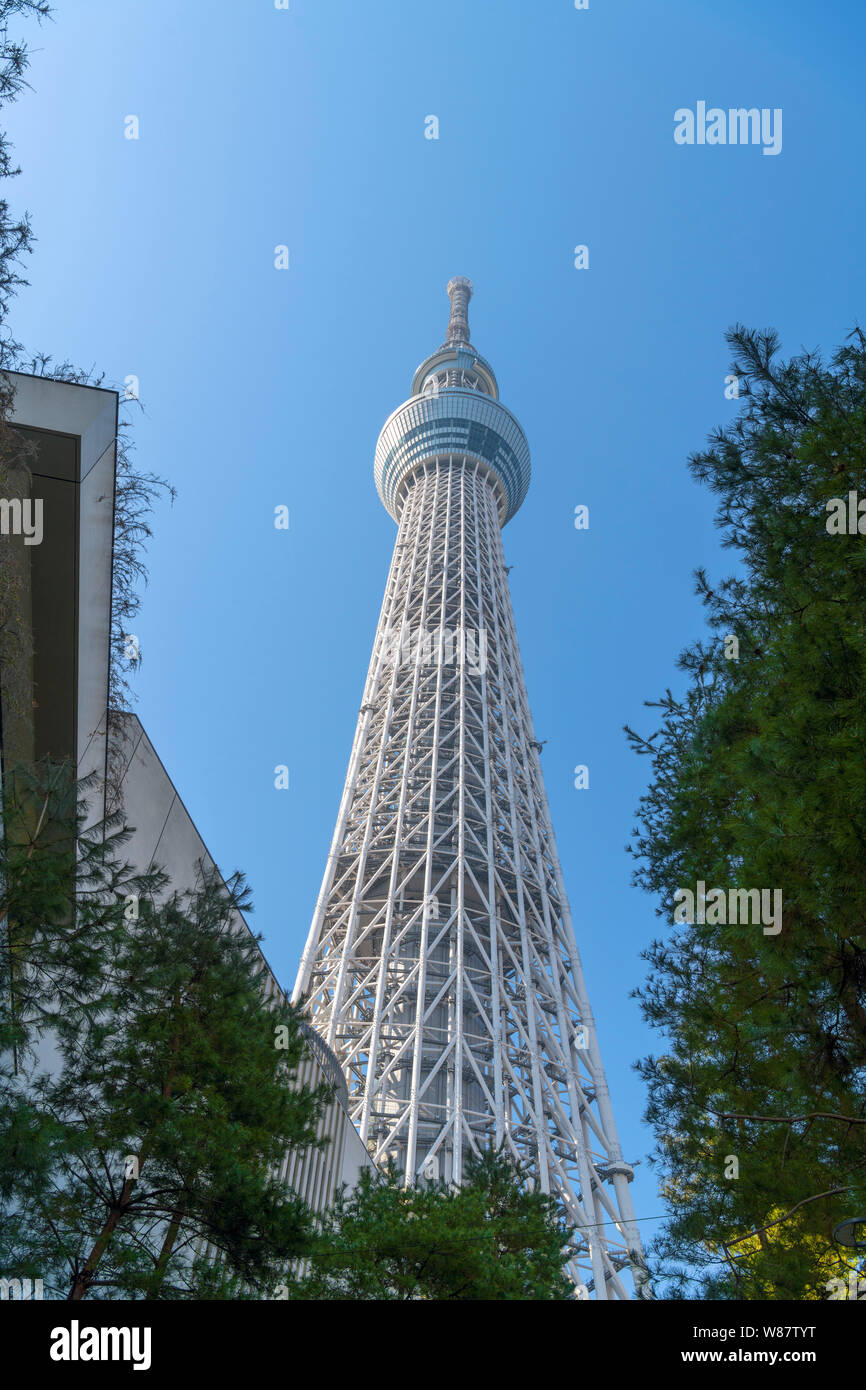 View from below looking up at the Tokyo Skytree, Tokyo, Japan Stock Photo