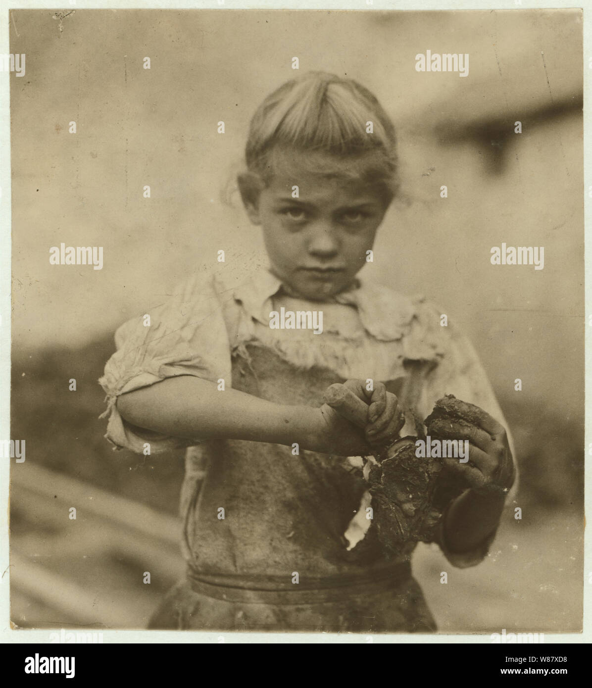 7-year old Rosie. Regular oyster shucker. Her second year at it. Illiterate. Works all day. Shucks only a few pots a day. (Showing process) Varn & Platt Canning Co. Stock Photo