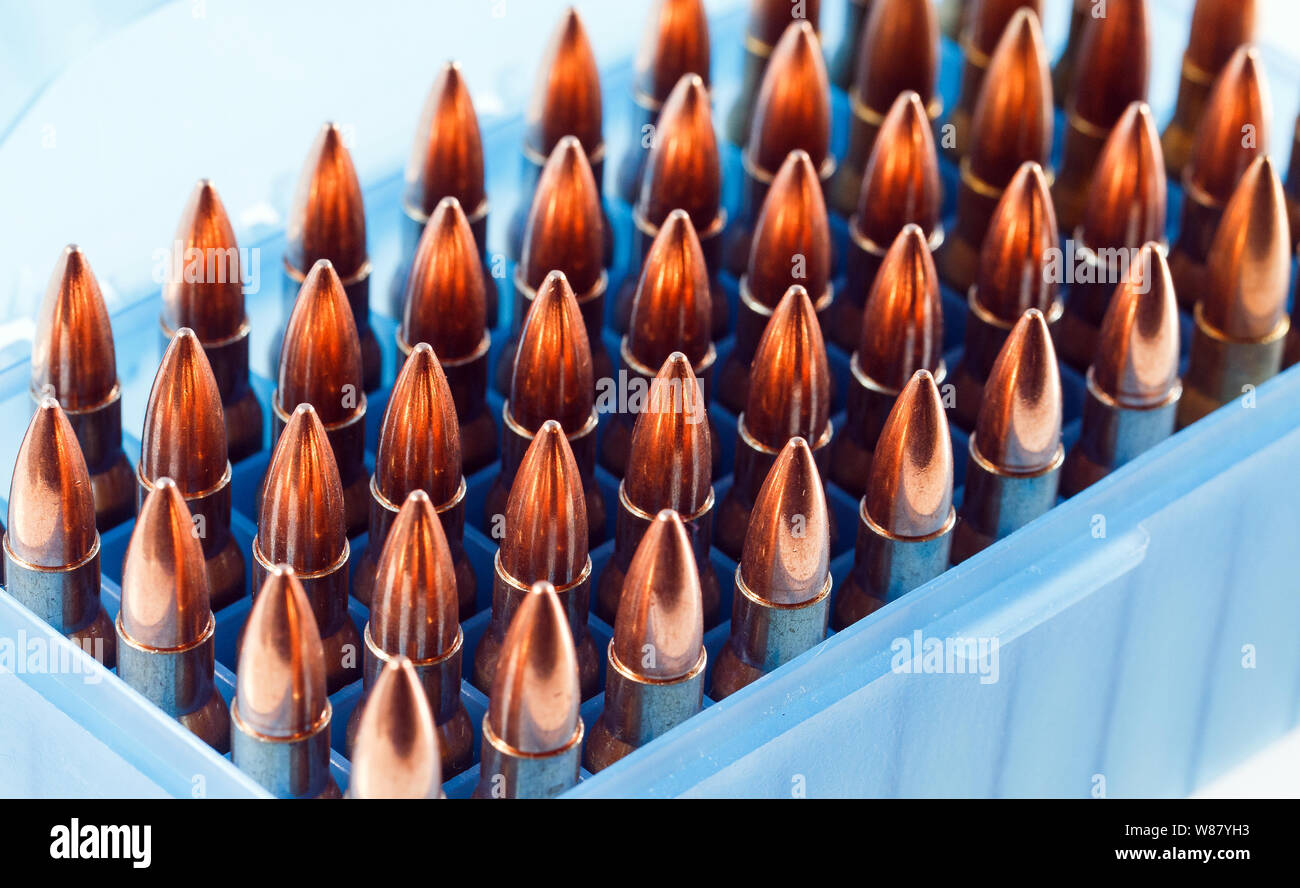 Hunting cartridges in a plastic box. Bullet storage box Stock Photo - Alamy