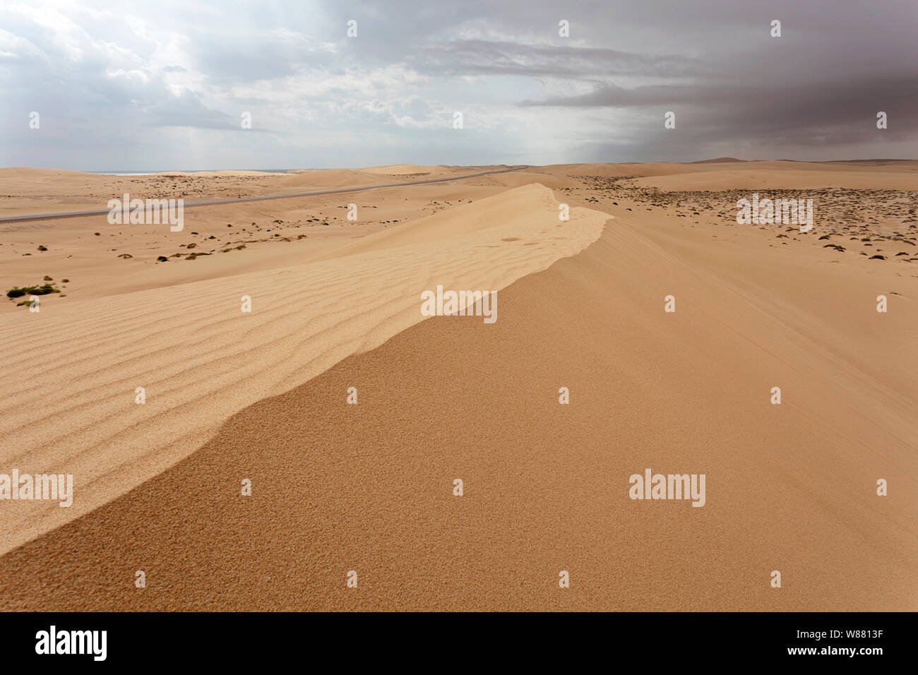 Highway desert road oman hi-res stock photography and images - Alamy