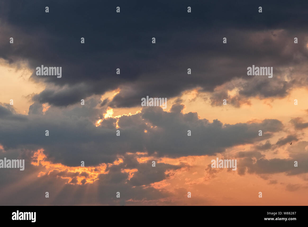 Sunset with black and grey clouds and silhouette of bird Stock Photo