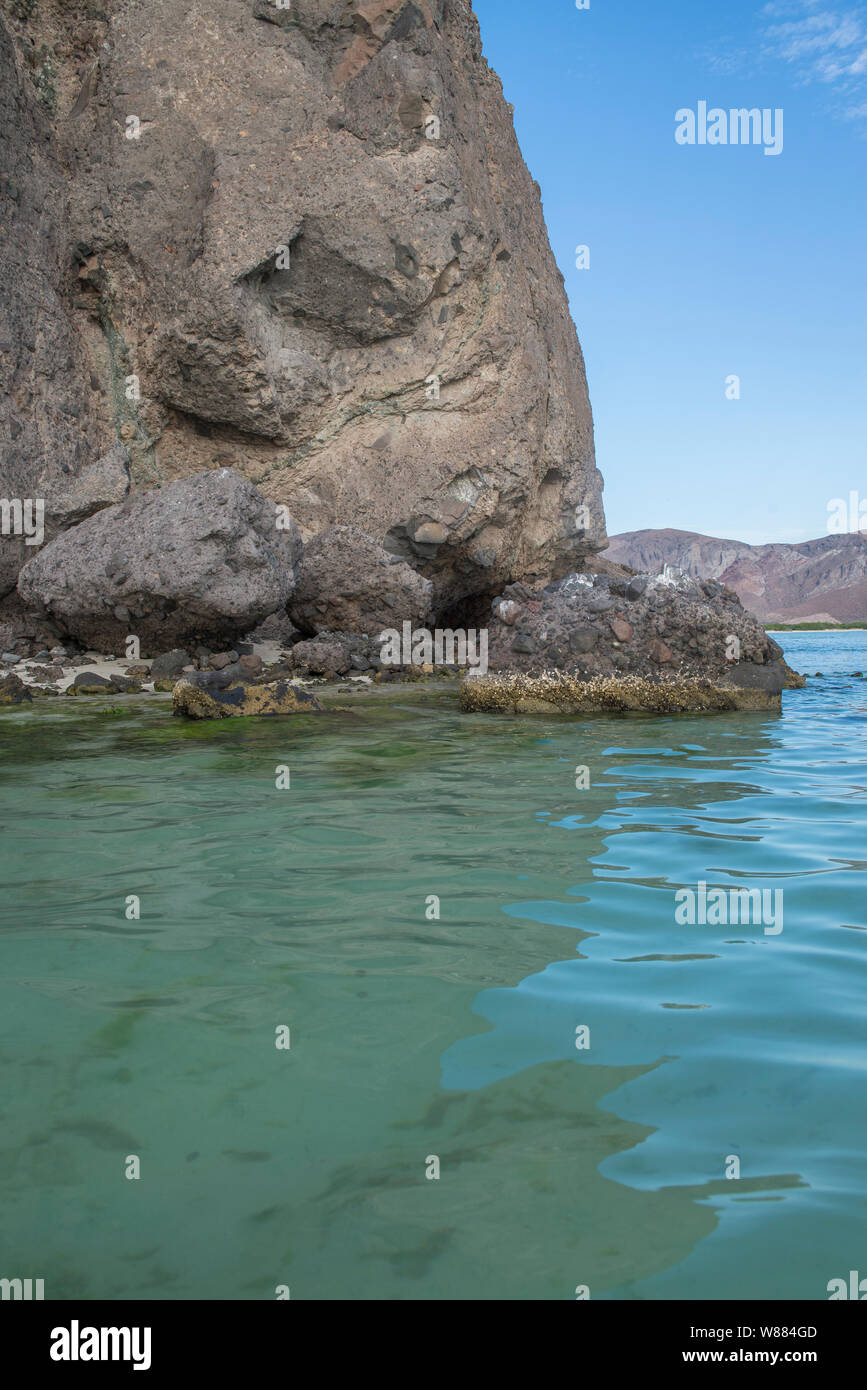 La paz baja california sur flora hi-res stock photography and images ...