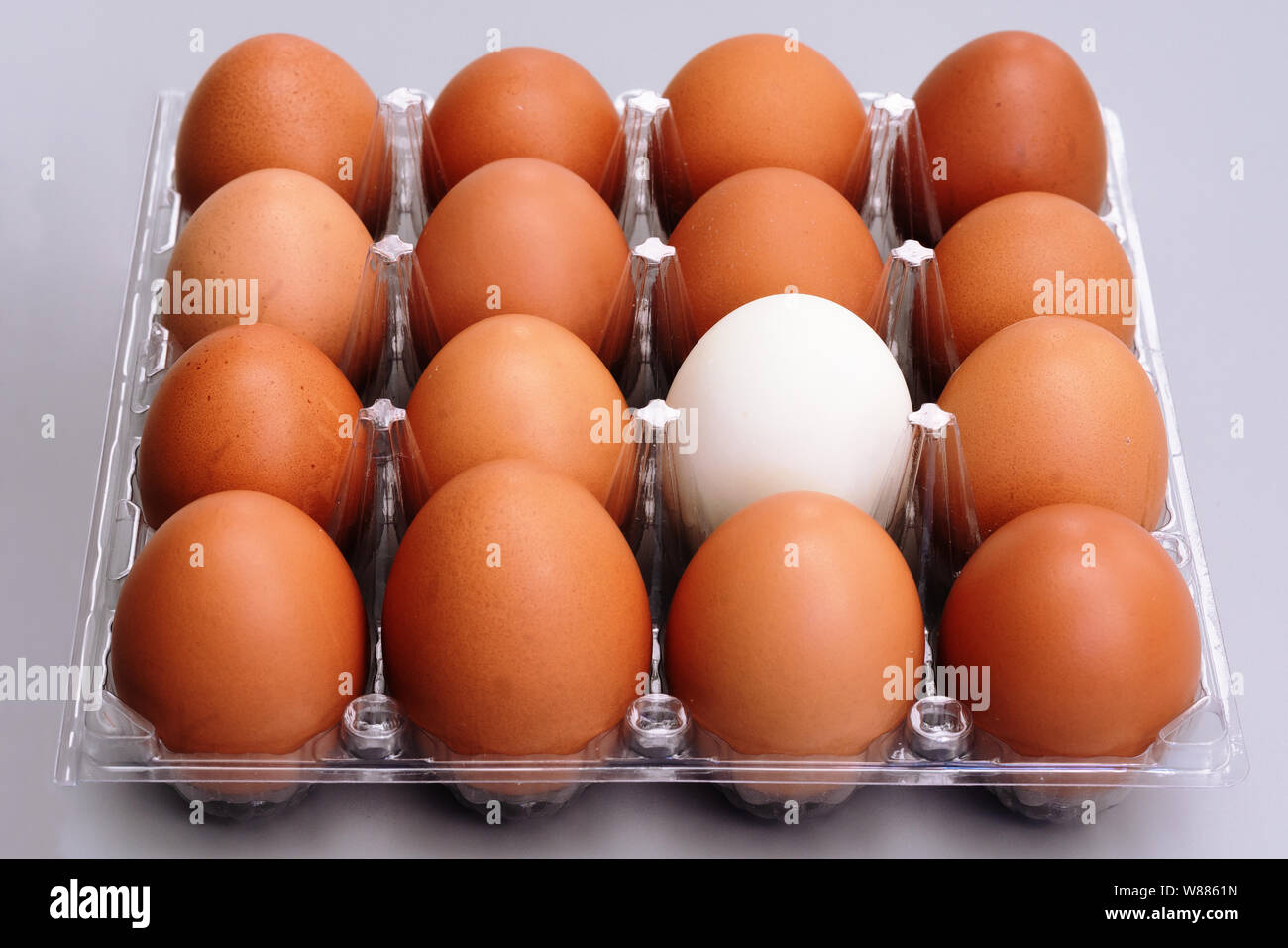 white egg in brown chicken eggs plastic box on gray background, easter and difference concept Stock Photo