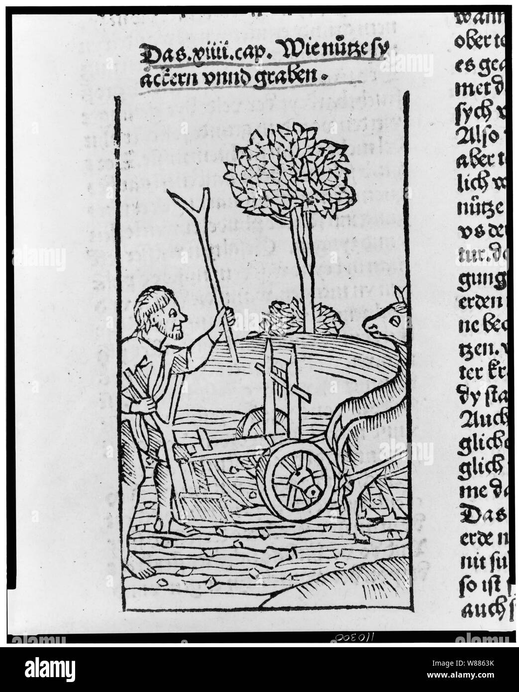 Plowing the field Black and White Stock Photos & Images - Alamy