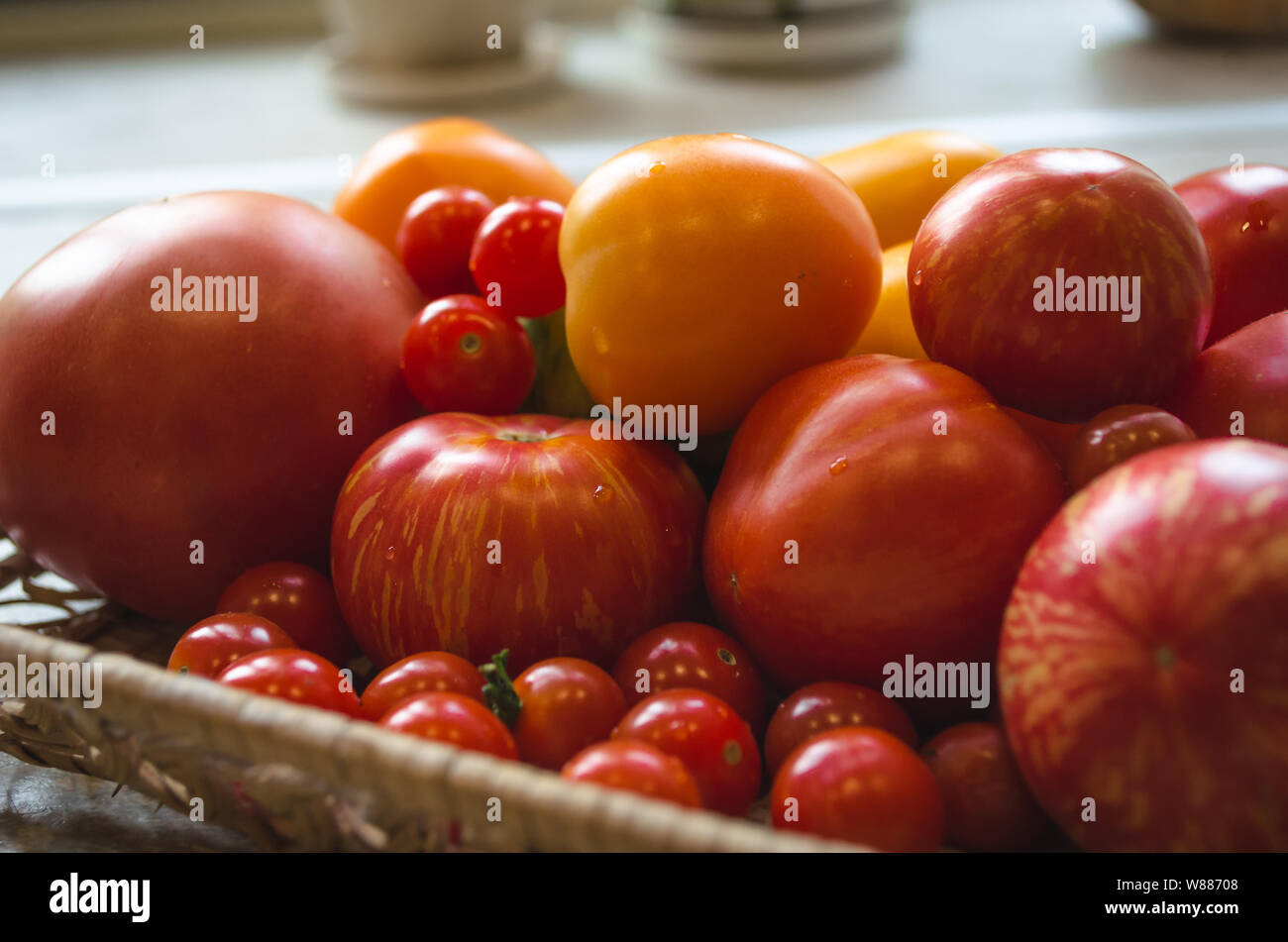 Close up of freshly picked from the garden tomatoes. Different types of tomatoes on one plate - cherry tomatoes, red, orange tomatoes. Stock Photo
