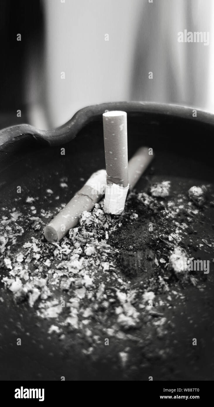 what is the best cigarette tobacco Daughters and Ryan Ryback what is the best cigarette tobacco Daughters and Ryan Ryback