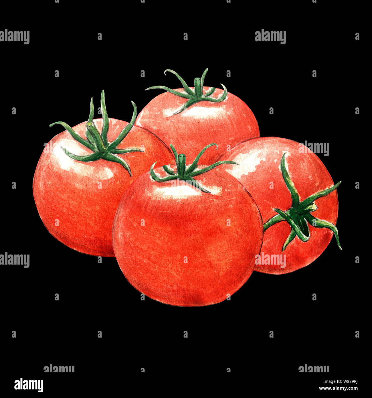 tomato watercolor illustration on black background Stock Photo - Alamy