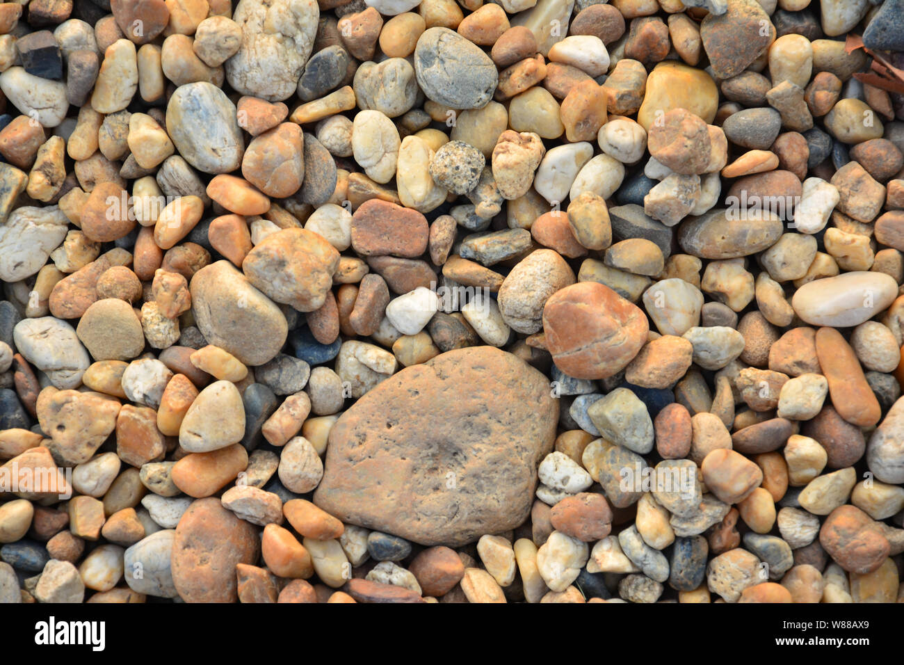 Colorful small pebbles or stone in garden Stock Photo