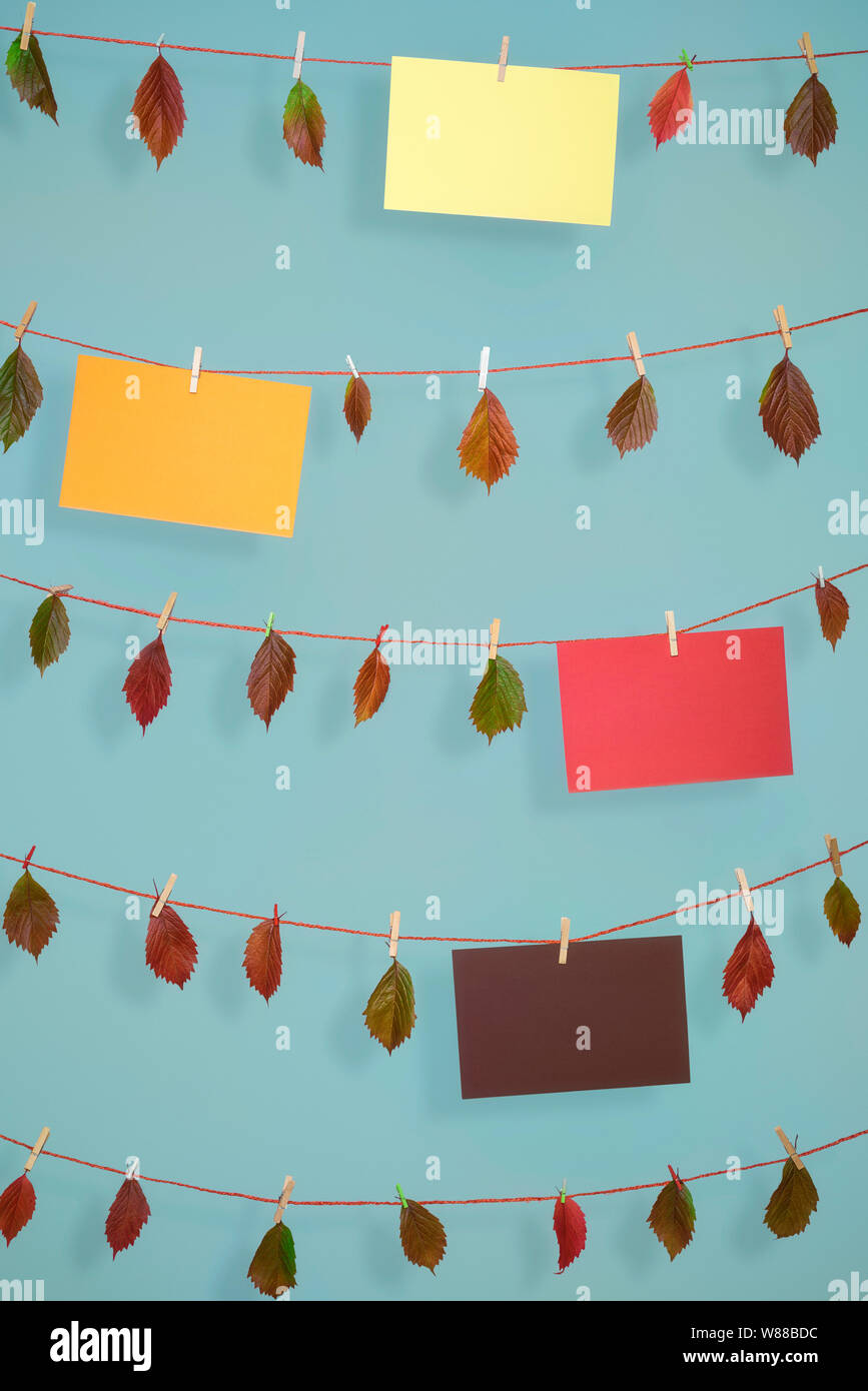 Cheerful fall background with autumn leaves and different colored empty paper sheets, hanging on strings with wooden clips, on a blue wall. Stock Photo