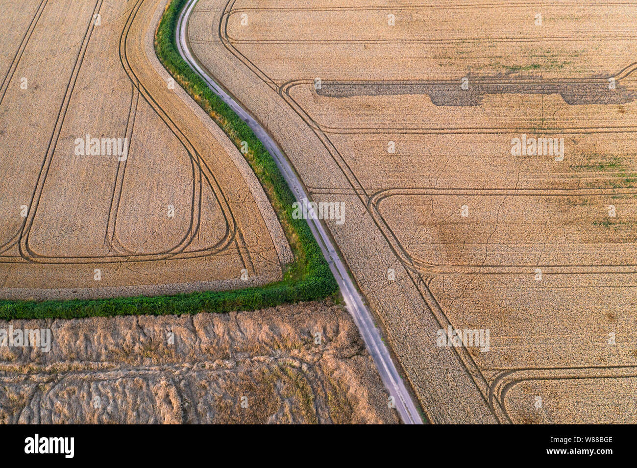 Textures and patterns of ripe golden grain field. Aerial shoot Stock Photo