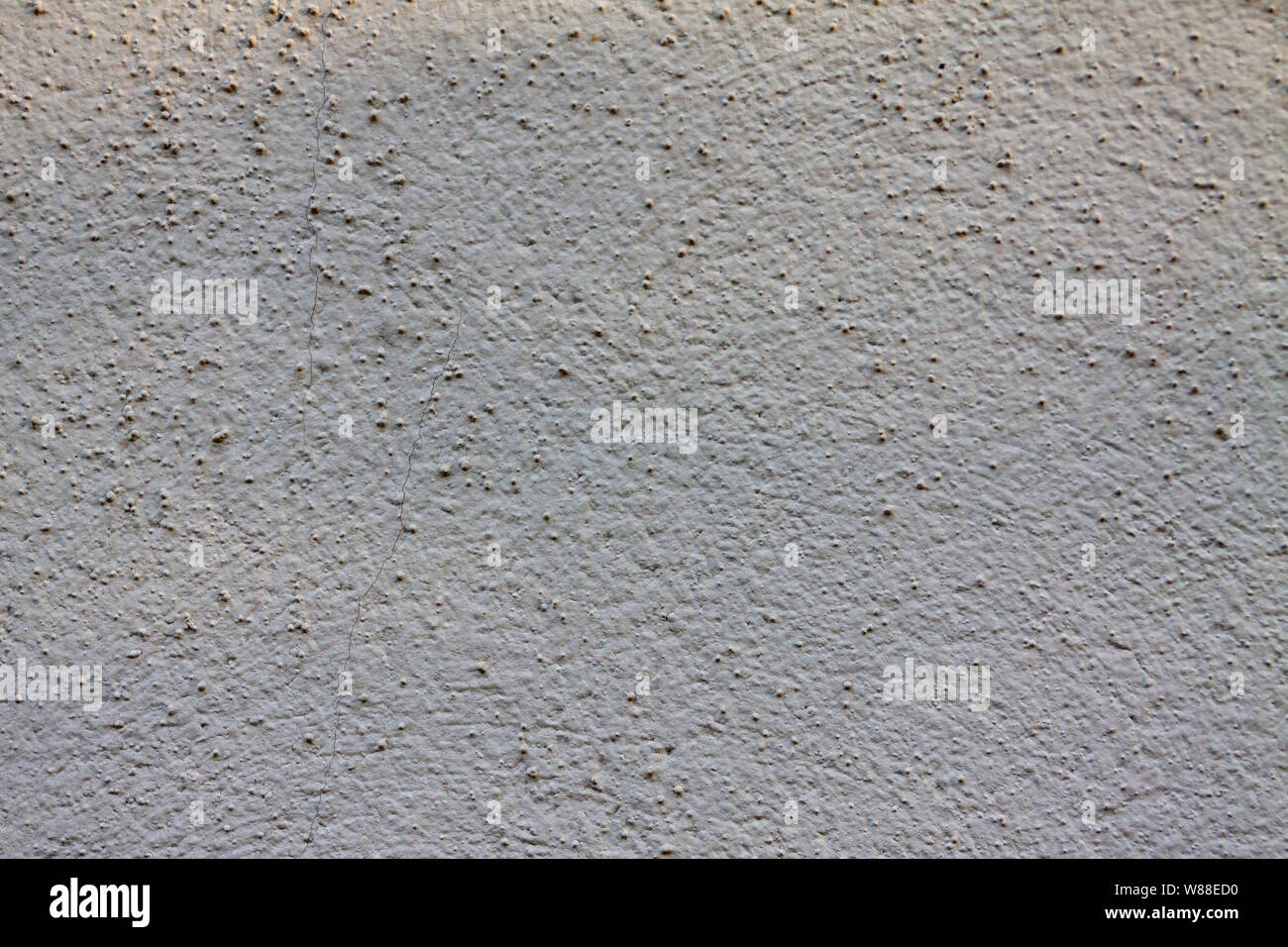 In the cracks of plaster Stock Photo